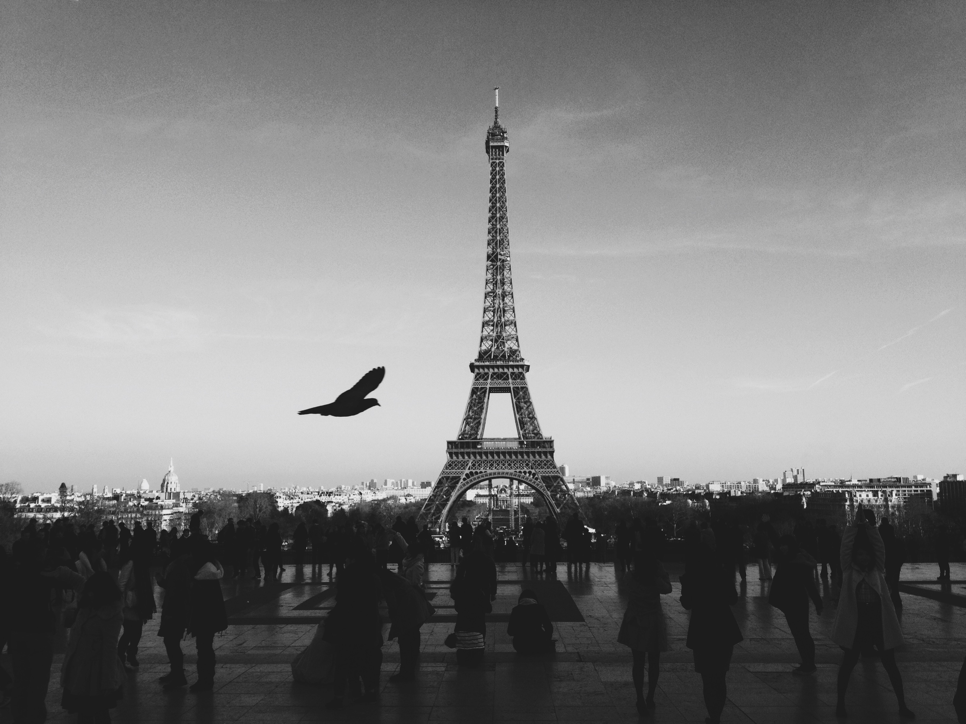 louis-pellissier-319 Photo by Louis Pellissier on Unsplash